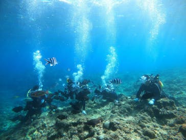 青の洞窟専門店　沖縄ダイビングショップ和に投稿された画像（2020/11/1）