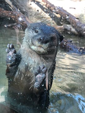 神戸どうぶつ王国に投稿された画像（2020/11/1）