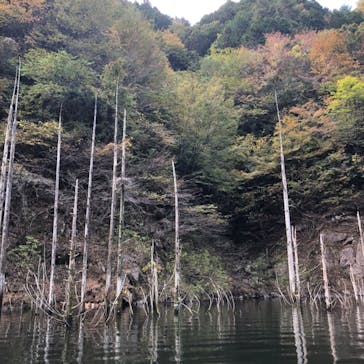 らぴっど Kayak Schoolに投稿された画像（2020/11/1）