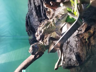 サンシャイン水族館に投稿された画像（2020/11/1）