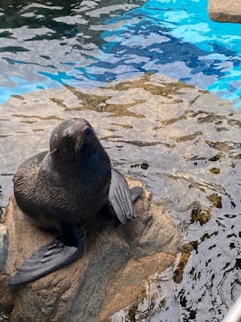 京都水族館に投稿された画像（2020/11/1）