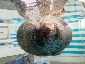 京都水族館に投稿された画像（2020/11/1）