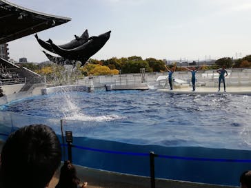 京都水族館に投稿された画像（2020/11/1）