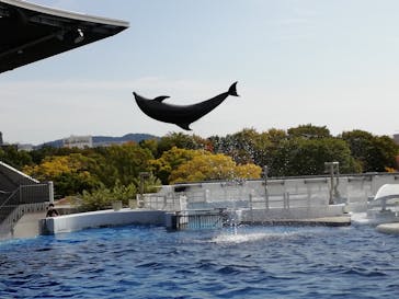 京都水族館に投稿された画像（2020/11/1）