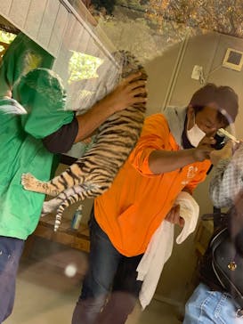 しろとり動物園に投稿された画像（2020/11/1）
