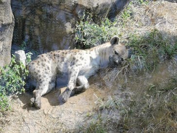 天王寺動物園に投稿された画像（2020/11/1）