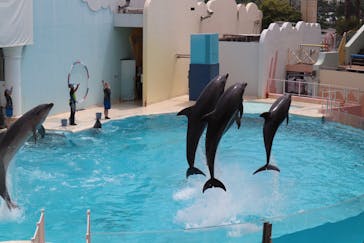 株式会社Gに投稿された画像（2020/11/1）