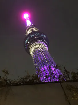 東京スカイツリーに投稿された画像（2020/11/1）