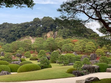 足立美術館に投稿された画像（2020/11/1）