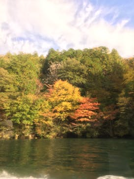 恵那峡遊覧船に投稿された画像（2020/11/1）