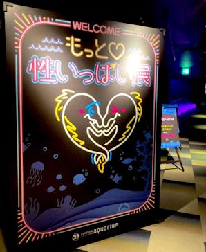 サンシャイン水族館に投稿された画像（2020/11/1）