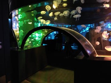 京都水族館に投稿された画像（2020/11/1）