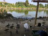 東武動物公園に投稿された画像（2020/11/1）
