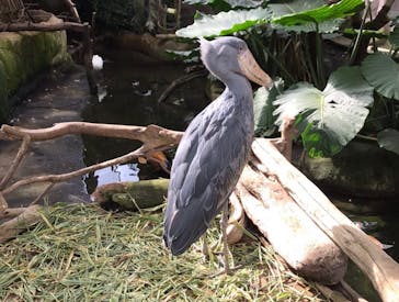 那須どうぶつ王国に投稿された画像（2020/11/1）