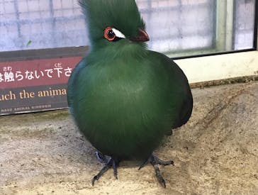 那須どうぶつ王国に投稿された画像（2020/11/1）