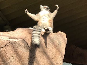 那須どうぶつ王国に投稿された画像（2020/11/1）