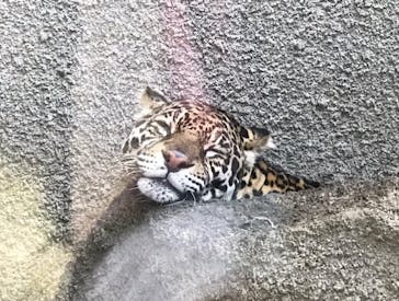 那須どうぶつ王国に投稿された画像（2020/11/1）