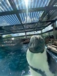 京都水族館に投稿された画像（2020/11/1）