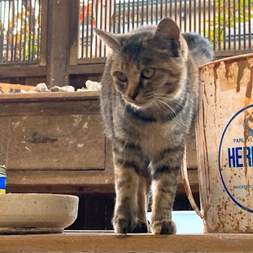 益子陶芸倶楽部に投稿された画像（2020/11/1）