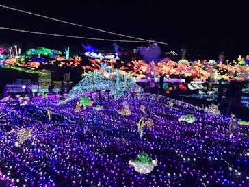 伊豆ぐらんぱる公園に投稿された画像（2020/11/1）