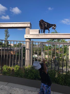 沖縄こどもの国に投稿された画像（2020/11/1）