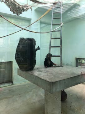 沖縄こどもの国に投稿された画像（2020/11/1）