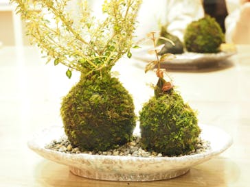 伊勢夫婦岩めおと横丁　めおと岩アクティビティに投稿された画像（2020/11/1）