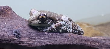 サンシャイン水族館に投稿された画像（2020/11/1）