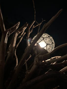 江の島シーキャンドルに投稿された画像（2020/11/1）