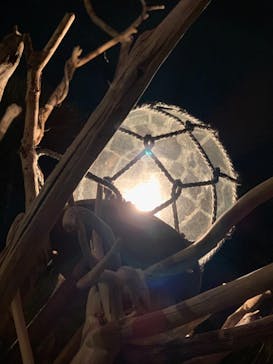 江の島シーキャンドルに投稿された画像（2020/11/1）