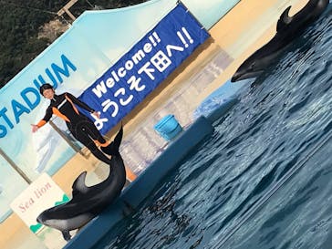 下田海中水族館に投稿された画像（2020/11/1）