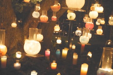 江の島シーキャンドルに投稿された画像（2020/11/1）