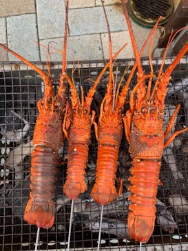 志摩市浜島磯体験施設 海ほおずきに投稿された画像（2020/11/1）