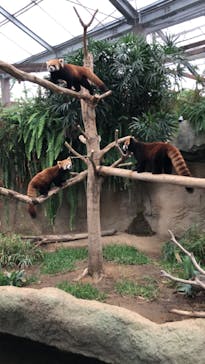 神戸どうぶつ王国に投稿された画像（2020/11/1）