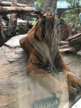 神戸どうぶつ王国に投稿された画像（2020/11/1）