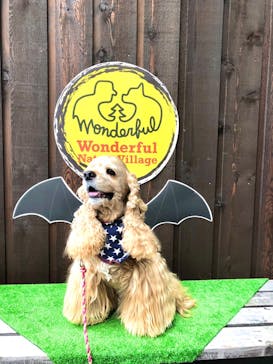 わんダフルネイチャーヴィレッジに投稿された画像（2020/11/1）