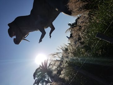 伊豆ぐらんぱる公園に投稿された画像（2020/11/1）