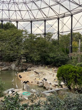 天王寺動物園に投稿された画像（2020/11/2）
