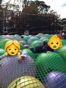 伊豆ぐらんぱる公園に投稿された画像（2020/10/30）