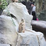 神戸どうぶつ王国に投稿された画像（2020/11/2）