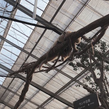 神戸どうぶつ王国に投稿された画像（2020/11/2）