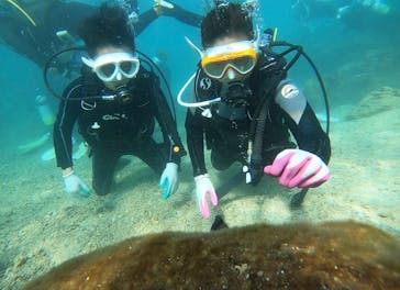 青の洞窟専門店　沖縄ダイビングショップ和に投稿された画像（2020/11/2）