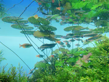 すみだ水族館に投稿された画像（2020/11/2）