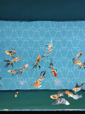 すみだ水族館に投稿された画像（2020/11/2）