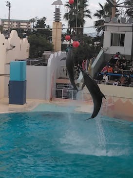 株式会社Gに投稿された画像（2020/11/2）