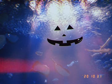 アクアワールド茨城県大洗水族館に投稿された画像（2020/11/2）