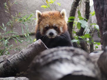 那須どうぶつ王国に投稿された画像（2020/11/2）