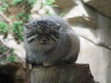 那須どうぶつ王国に投稿された画像（2020/11/2）