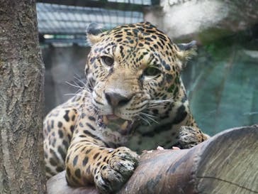 那須どうぶつ王国に投稿された画像（2020/11/2）