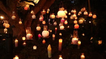 江の島シーキャンドルに投稿された画像（2020/11/2）